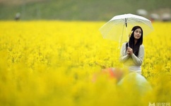 中国好声音济南演唱会